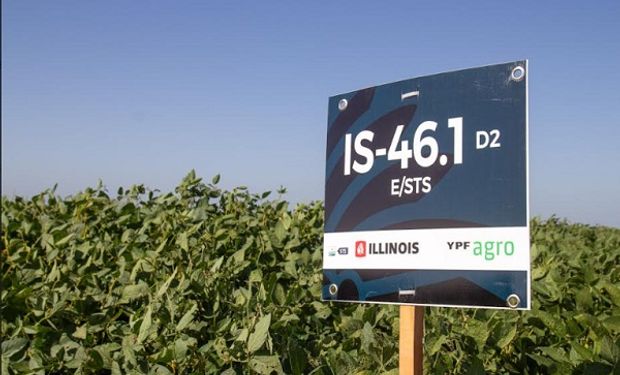 Las cinco variedades de soja que lanzó el semillero ILLINOIS junto a YPF Agro