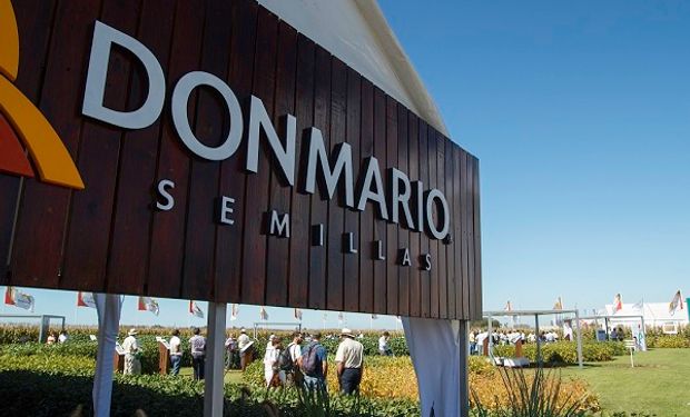 Variedades superadoras: el nuevo portfolio de soja DONMARIO y un sistema que supera las expectativas