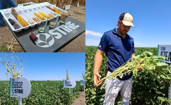 "Banco todo lo que sucede ahora", definió el gerente general de Stine Argentina; qué novedades trae una de las empresas familiares más grandes del mundo al país