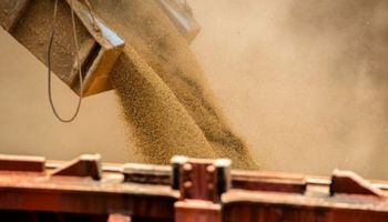 La AFIP detectó a una empresa exportadora de sémola de trigo que subfacturó sus ventas por $190 millones