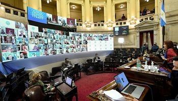 El Senado creó una comisión Bicameral para investigar la deuda de Vicentin