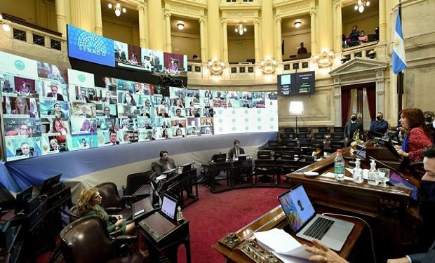 El Senado creó una comisión Bicameral para investigar la deuda de Vicentin