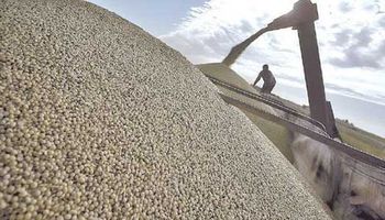 Paraguay, a un paso de gravar con el 10% las exportaciones de granos