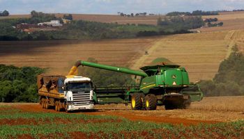 Senado vai analisar os desafios para escoamento de grãos do Brasil