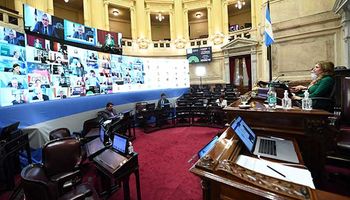 El Senado trata en comisión tres proyectos para prorrogar la Ley de Promoción de los Biocombustibles