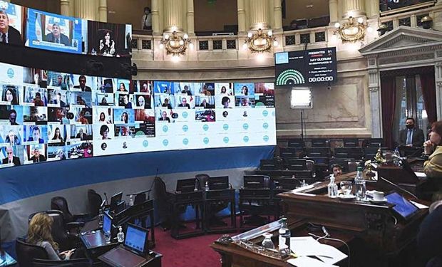 ¿Apagón de micrófonos?: la oposición denunció el "atropello del kirchnerismo" en el Senado
