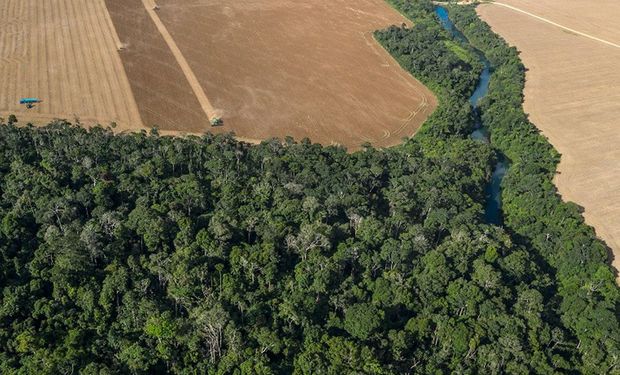 O que está em jogo no Senado sobre o licenciamento ambiental?