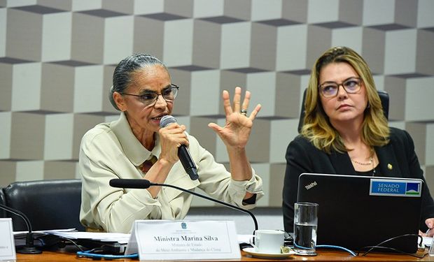 Ministra foi ouvida na Comissão de Meio Ambiente do Senado Federal. (Foto - Roque de Sá/Agência Senado)