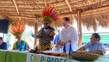 Senador defende agricultura em escala em terras indígenas