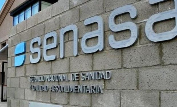 Senasa declaró la emergencia fitosanitaria por captura múltiple de la mosca de los frutos en Río Negro