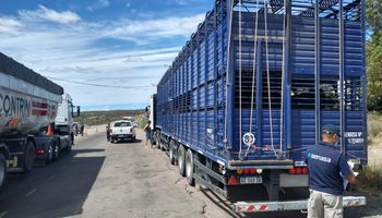 Transporte de hacienda: el Senasa dio marcha atrás con el plan de control tras el reclamo del sector productivo
