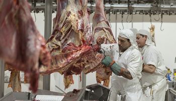Exportación de carne: aseguran que las medidas son un tema electoral y piden revertir la situación