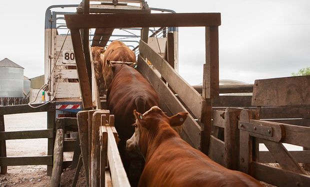 Los consignatarios de hacienda dejan de pagar impuesto sobre los débitos y créditos