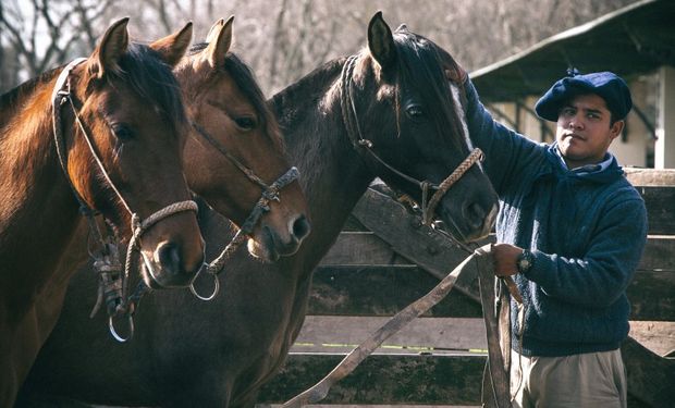 Encefalomielitis equina: rurales se movieron por su cuenta y tuvieron una reunión clave por la importación de vacunas 