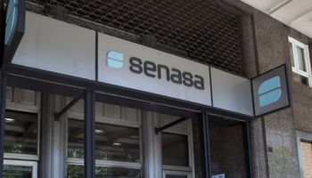 Senasa estableció nuevos requisitos para la importación productos veterinarios