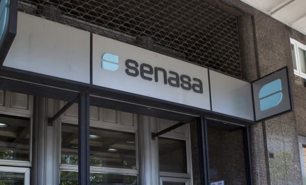 Senasa estableció nuevos requisitos para la importación productos veterinarios