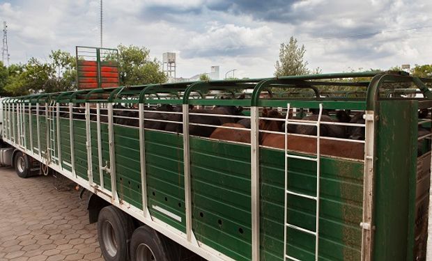 Rechazo del campo a un nuevo requisito para el movimiento de hacienda