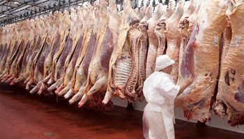 Nuevos importes para los pagos a cuenta de IVA para faena