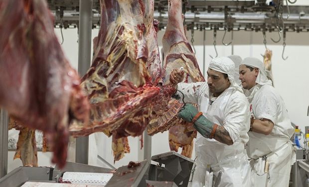 Frigoríficos van a la Justicia para saltar la barrera a las exportaciones de carne