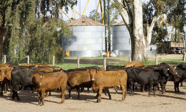 El Senasa es ciento por ciento autogestivo para los productores.