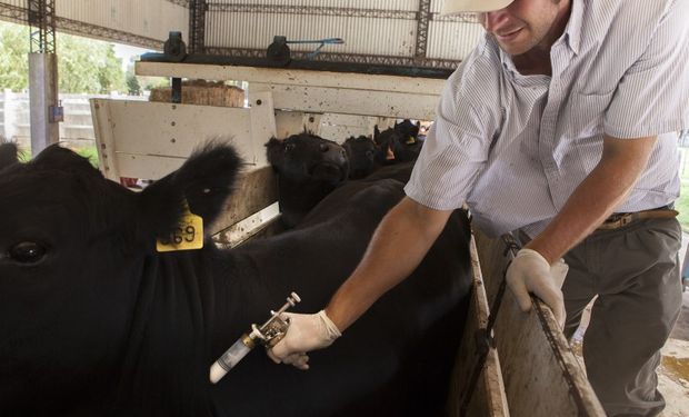 El Senasa creó un programa para controlar la venta online de insumos para el agro