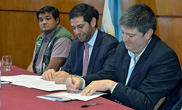 Argentina, Paraguay y Bolivia se unen en la lucha contra la langosta
