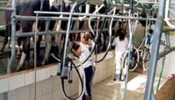 A cuidar los precios de la leche