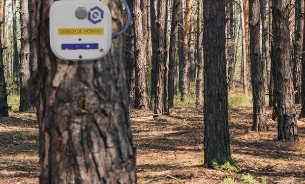 DIF consegue detectar os incêndios florestais durante os estágios iniciais com uso de inteligência artificial. (foto - divulgação)