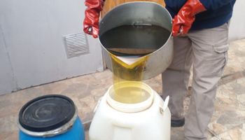 El residuo hogareño que puede ser una oportunidad para el agro