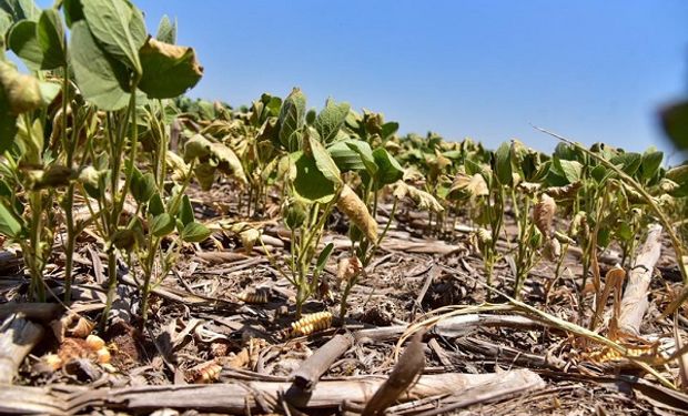 La Niña: mientras se agudiza la sequía, especialistas adelantan hasta cuándo seguirá el clima adverso