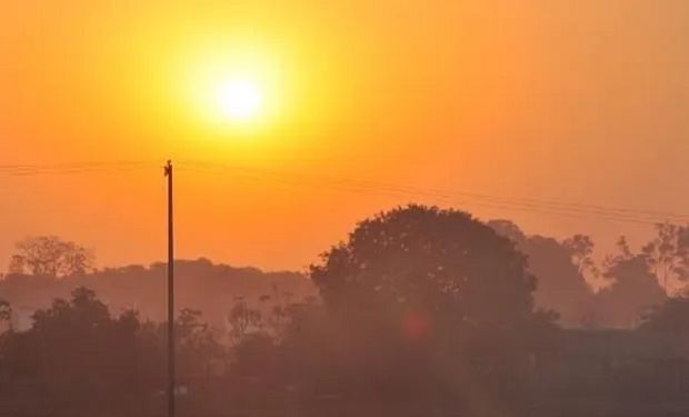 Sobrevivir a la sequía: así funciona la tecnología que convierte en riego la humedad del aire