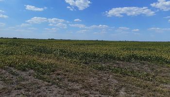 Emergencia agropecuaria: Entre Ríos brindará asistencia a los productores afectados por la sequía