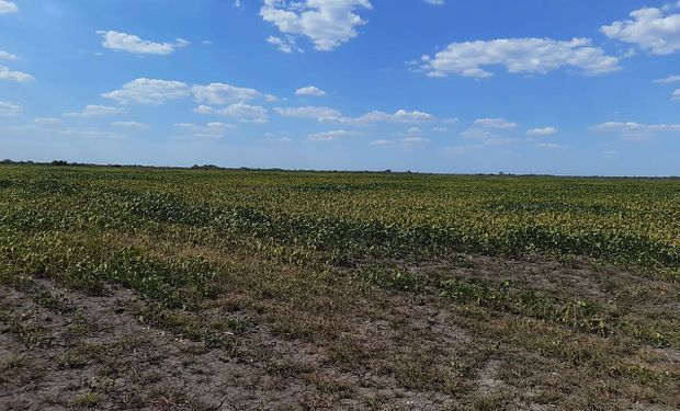 Emergencia agropecuaria: Entre Ríos brindará asistencia a los productores afectados por la sequía