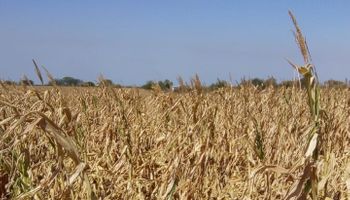 Emergencia agropecuaria en Santa Fe: productores denuncian que no reciben los fondos y la provincia culpó al paro de estatales