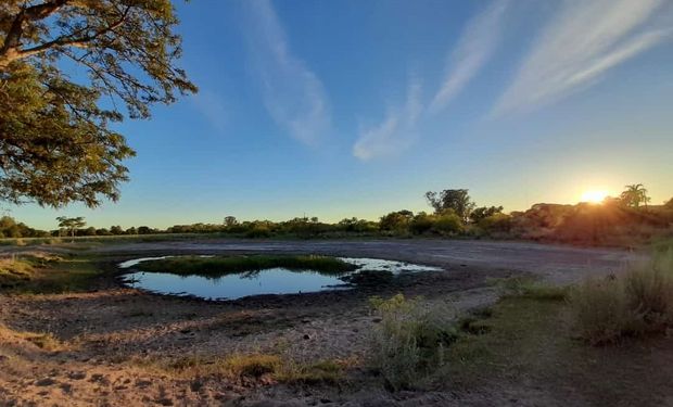 La sequía gana extensión: el pronóstico del tiempo da lluvias muy discrecionales en las próximas semanas