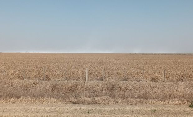 El invierno 2022 quedó en el top 10 de los más secos de la historia argentina