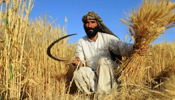 La otra crisis de Afganistán: una grave sequía amenaza los medios de vida de siete millones de agricultores