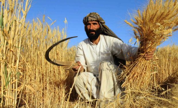 La otra crisis de Afganistán: una grave sequía amenaza los medios de vida de siete millones de agricultores