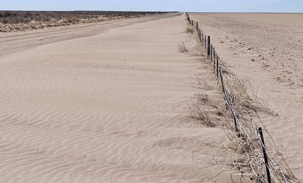 La zona en donde la sequía se extiende y desespera a los productores: los animales se mueren y siguen pagando Ganancias por ventas forzadas