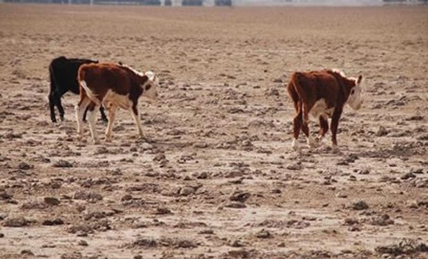 Declaran la emergencia agropecuaria en la provincia de Mendoza