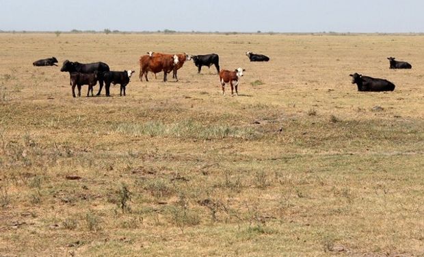 La Pampa aseguró que sus frigoríficos están preparados para exportar carne libre de coronavirus