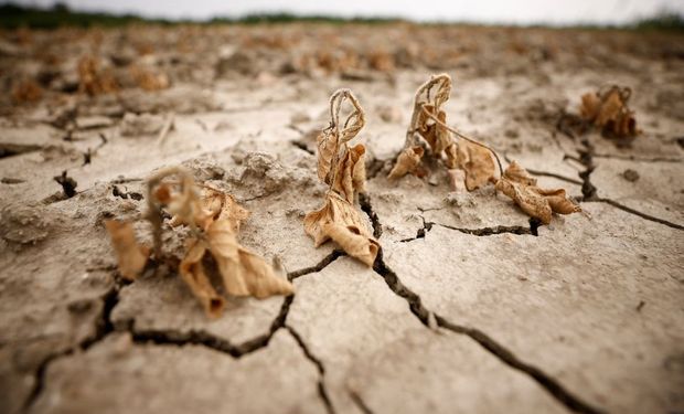 Una “invasione” di acqua di mare colpisce i produttori in Italia: è la peggiore siccità degli ultimi 70 anni