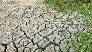 Sequía: el partido bonaerense de Saavedra, en emergencia agropecuaria
