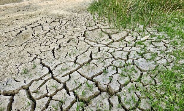 Sequía: el partido bonaerense de Saavedra, en emergencia agropecuaria