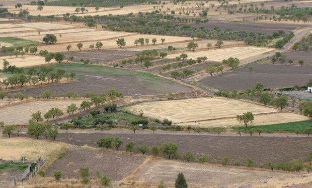 Nuevo pronóstico climático: se confirman las chances de La Niña desde mediados del 2024