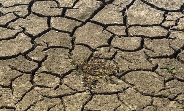 Europa afronta una sequía extrema y advierten que podría afectar el 47% del continente