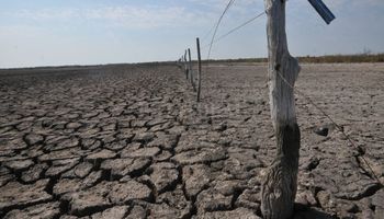 En un año clave por el clima, hacen de público acceso los informes del monitoreo nacional de sequías 