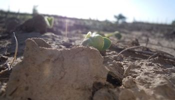 Predominan las áreas secas en el territorio nacional