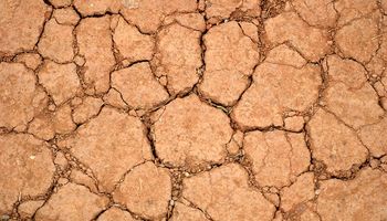 Declararon la emergencia agropecuaria en La Pampa y Buenos Aires
