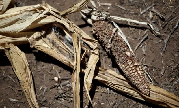 Qué puede pasar con el clima: una semana dura y el momento bisagra que marcará a la campaña